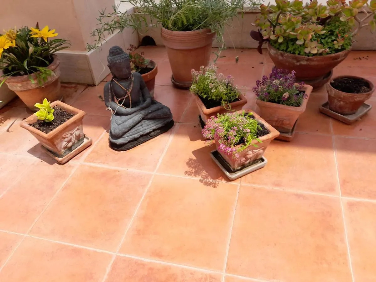 Sea View Penthouse With Beautiful Terrace - Casa Verdi Jayanti Lido di Ostia