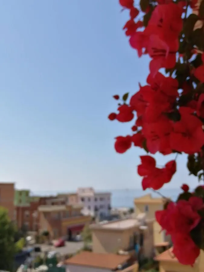 Sea View Penthouse With Beautiful Terrace - Casa Verdi Jayanti Lido di Ostia Italy
